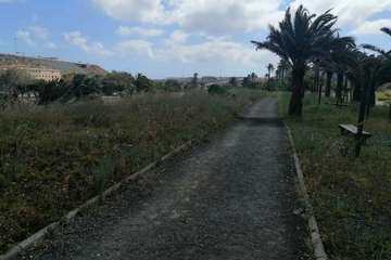 Abandono del Parque de las Mil Palmeras del Valle de Jinámar/TA.
